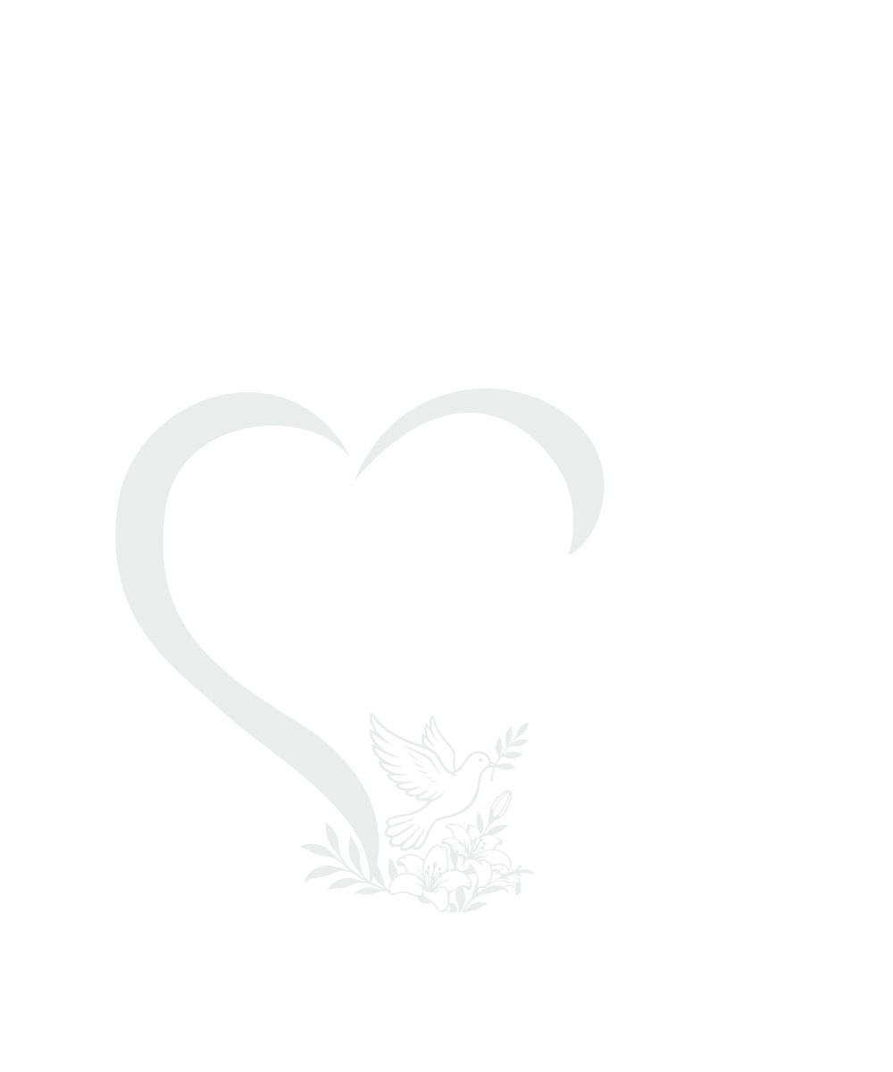 Gołąb z gałązką