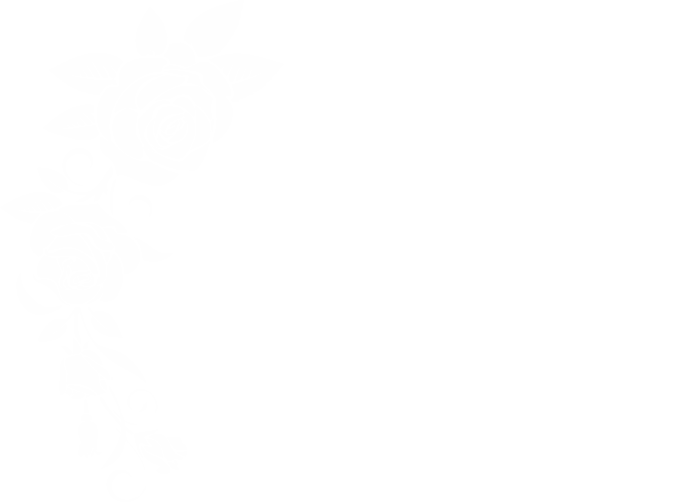 Róże