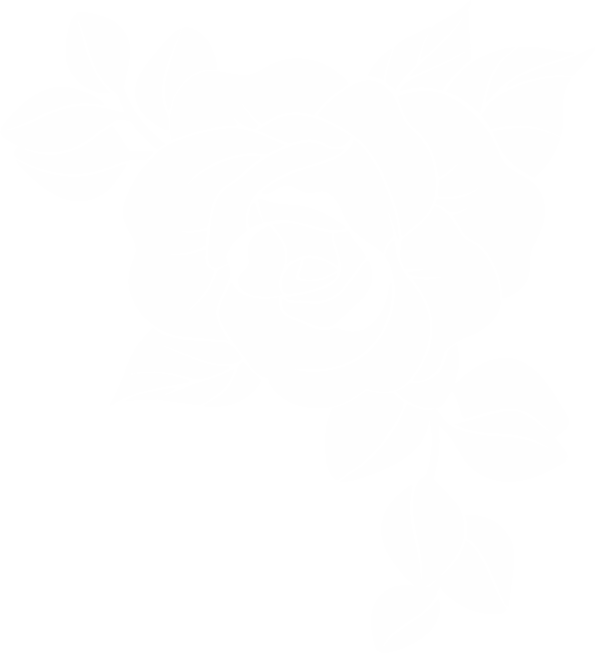 Róża