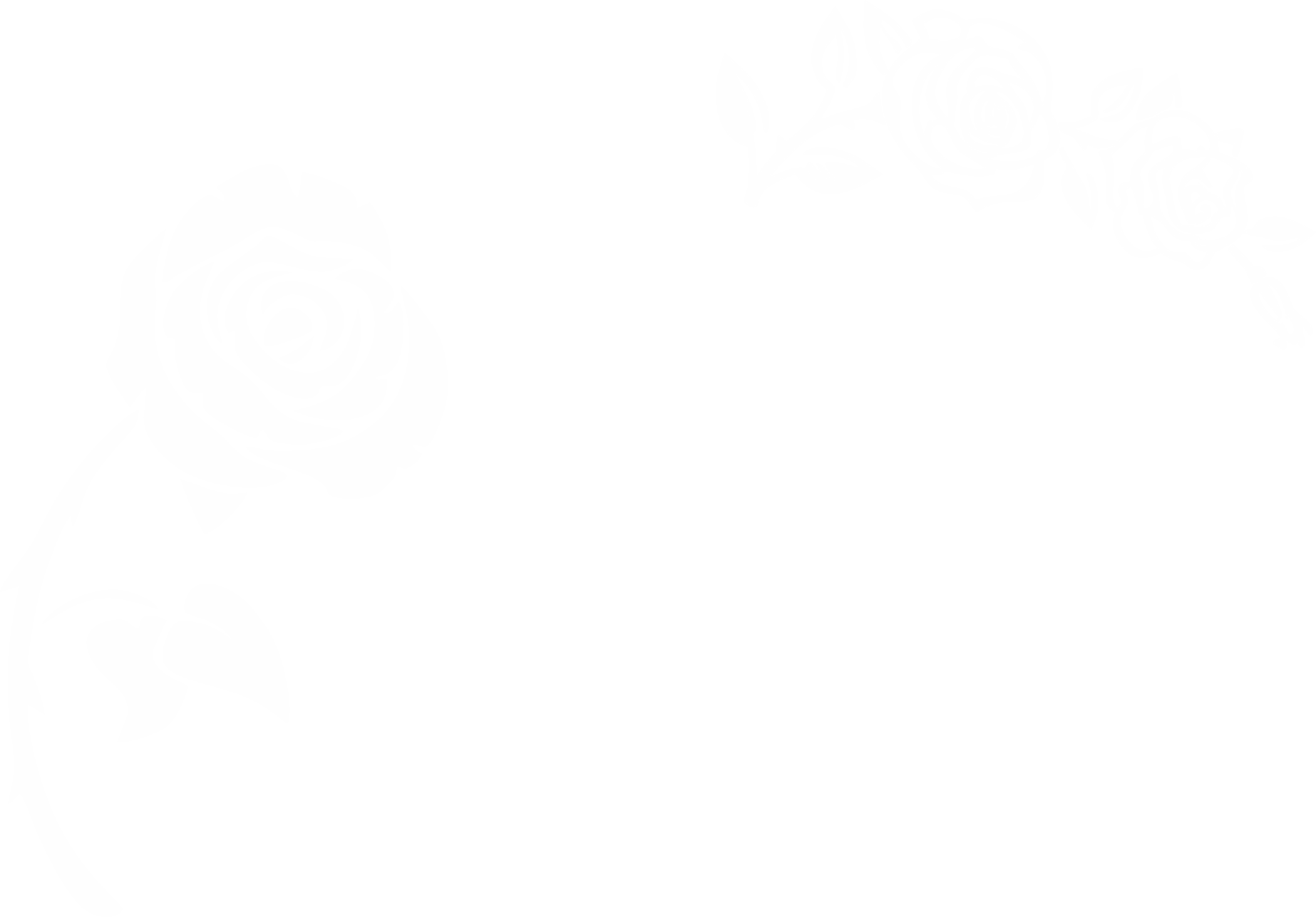 Róża