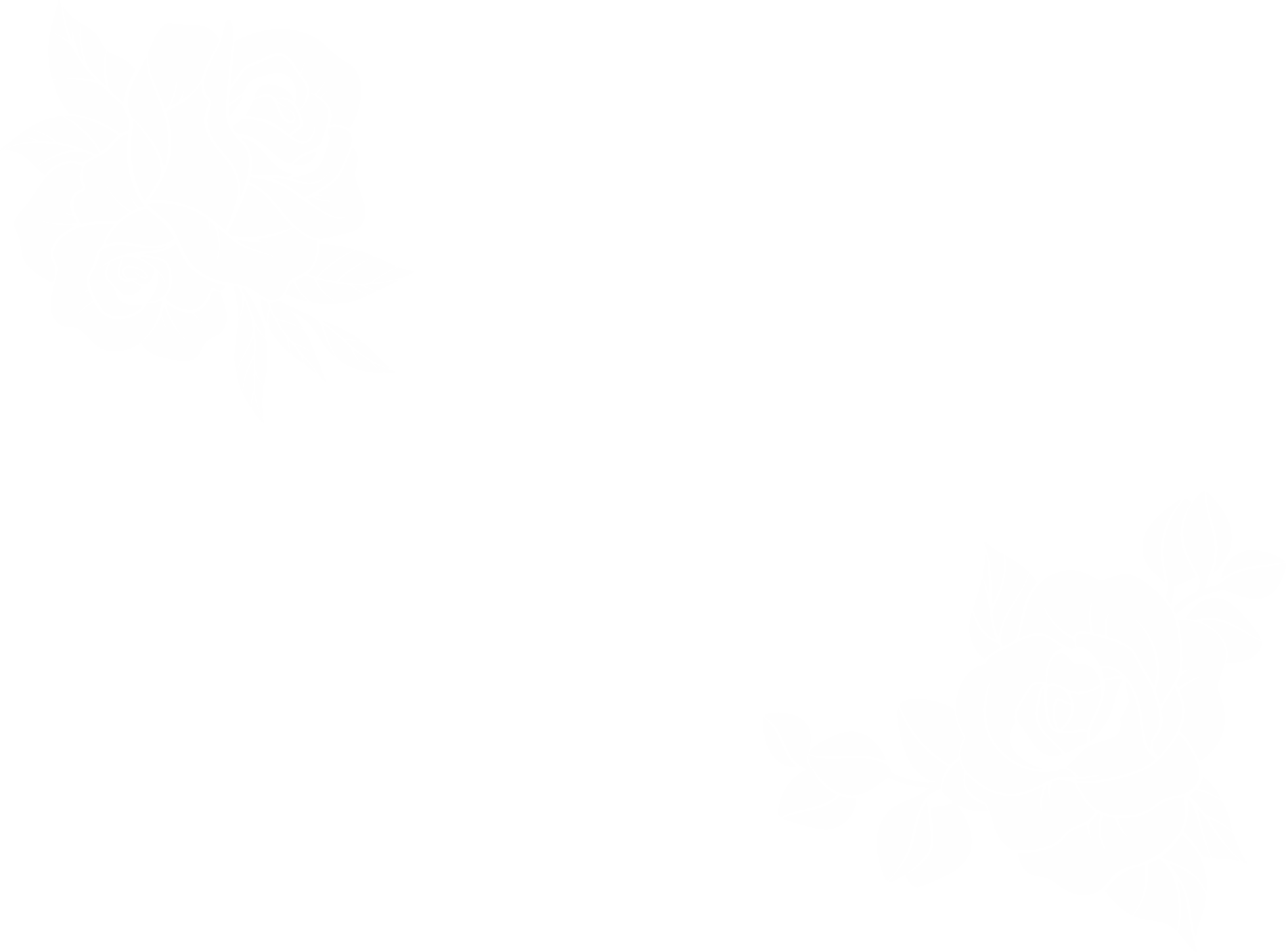 Róże