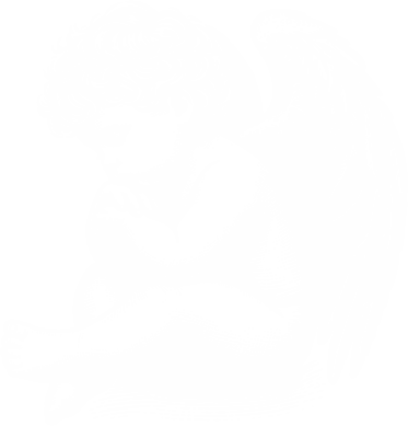 Aniołek