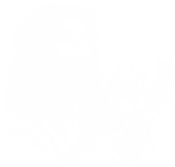 Jezus modlący